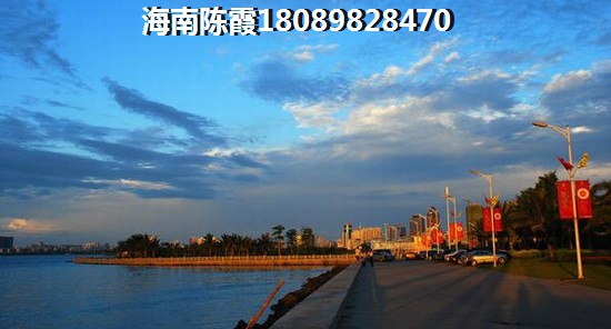 定安碧桂园三期楼盘