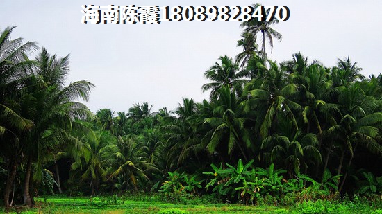 海南最有升值潜力的房产，定安和棋子湾升值前景哪个好？