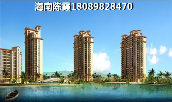 为什么业主看好海南前景？