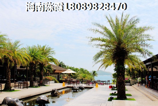 南丽湖上的时光环境怎么样？