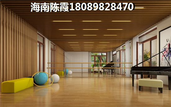 海南的楼盘有生纸空间吗？